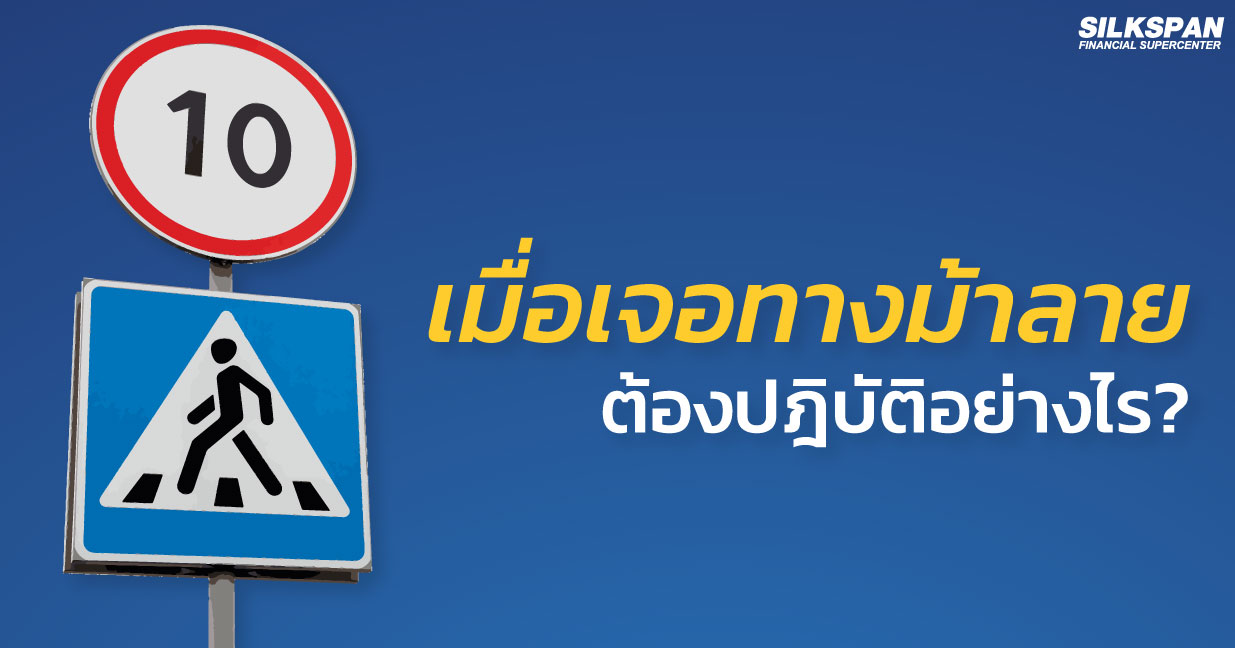 เมื่อเจอทางม้าลายต้องปฎิบัติอย่างไร?
